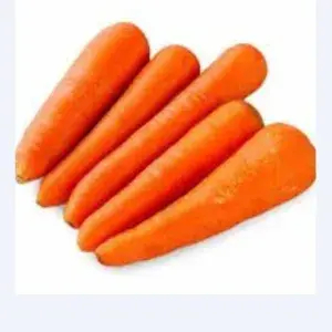 

Wortel Import ( Beraatagi)