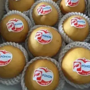 

Pear Singo Cina / Singo Pear Pohon