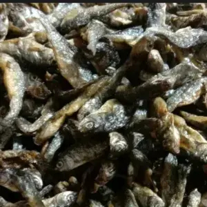 

Ikan Bilih Tawar Padang 100 Gram