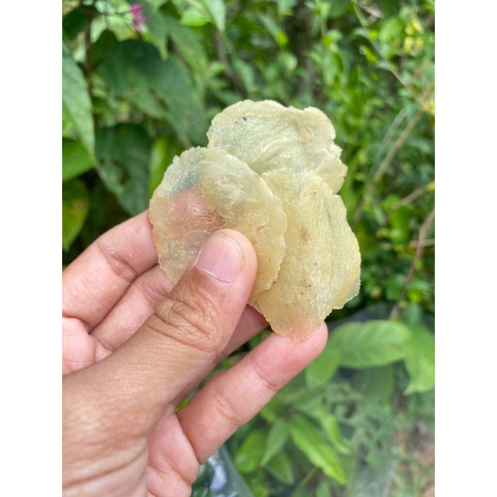 

Emping mlinjo super 1biji