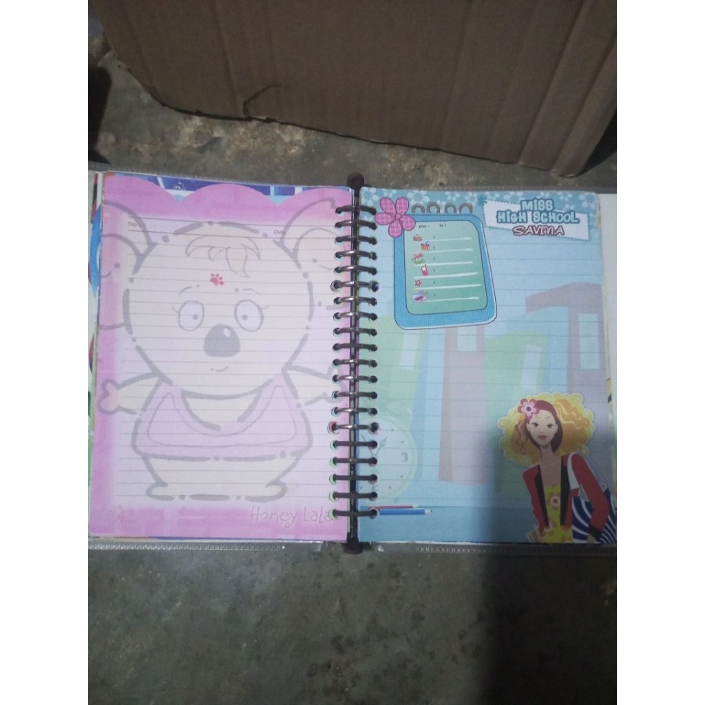 

(PRELOVED BINDER DAN ISI) All in Binder Koleksi pribadi binder dan isi Koleksi jadul /Binder A5 PAKET 14