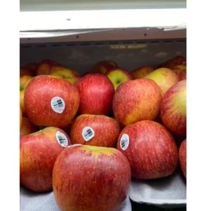 

apel envy reguler manis garing fresh