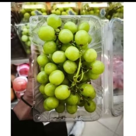 

Anggur green summer crunchy-buah anggur hijau garing manis USA 500 gram