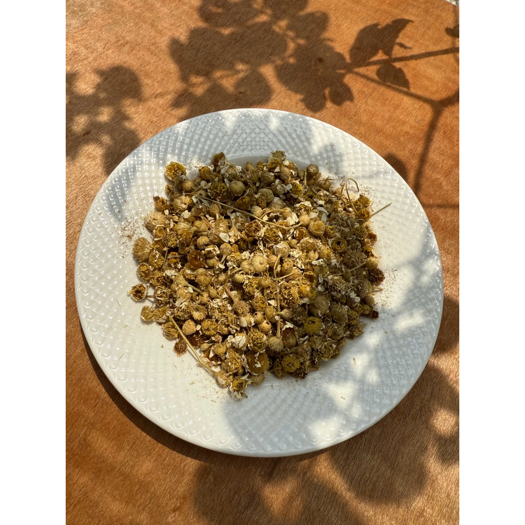 

BUNGA CHAMOMILE / DRIED CHAMOMILE / FLOWER TEA / BUNGA KERING CHAMOMILE 10 GRAM
