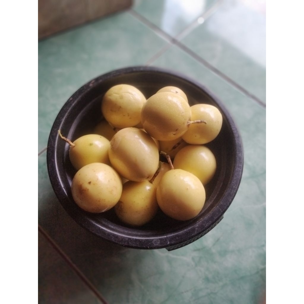 

Buah markisa fresh rasa dominan manis 1kg