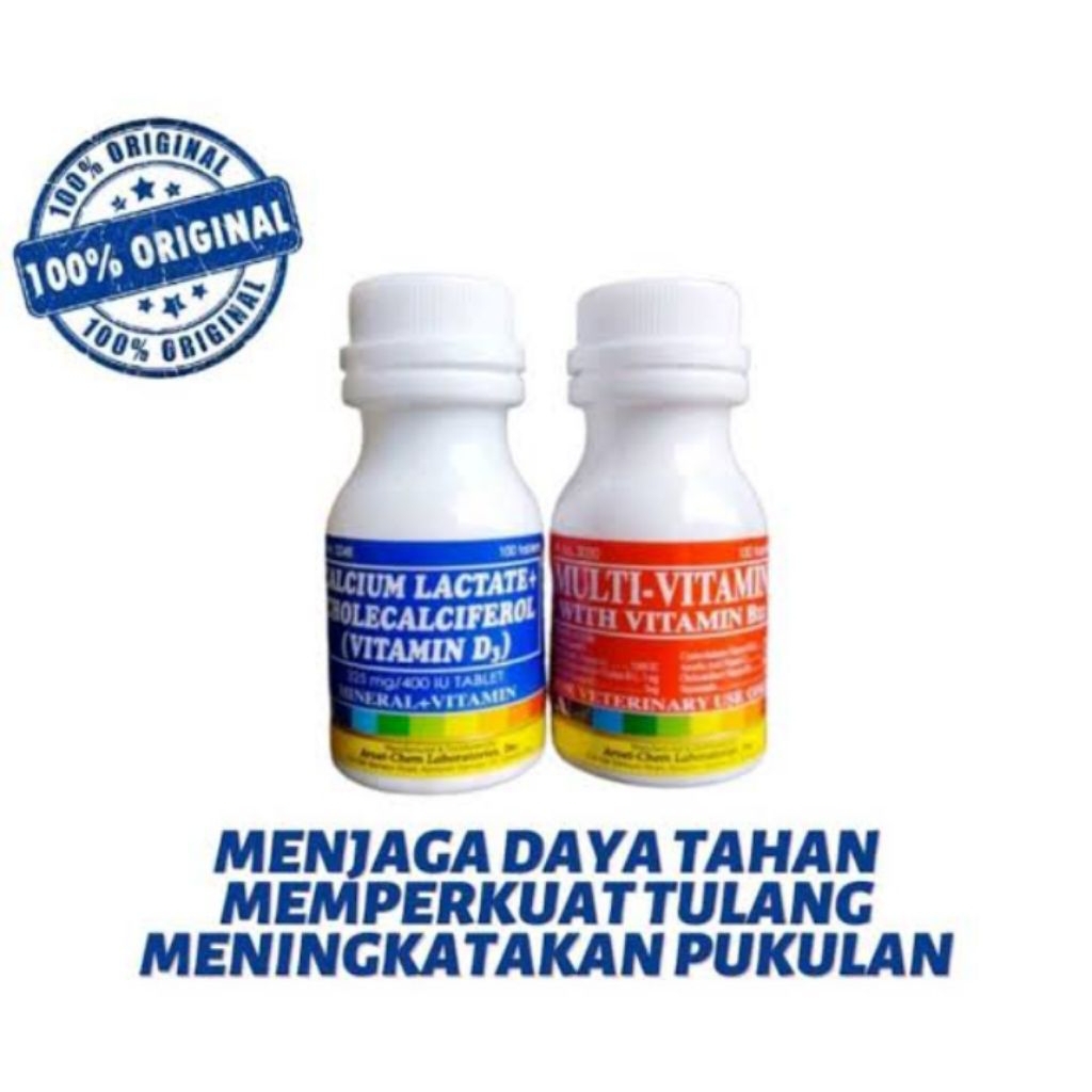 Calcium Lactate Dan Multivitamin Ayam Bangkok Piliphins Penguat Tulang