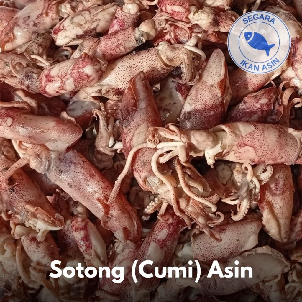 

Sotong (Cumi) Asin | 250 gr / 500 gr / 1 kg