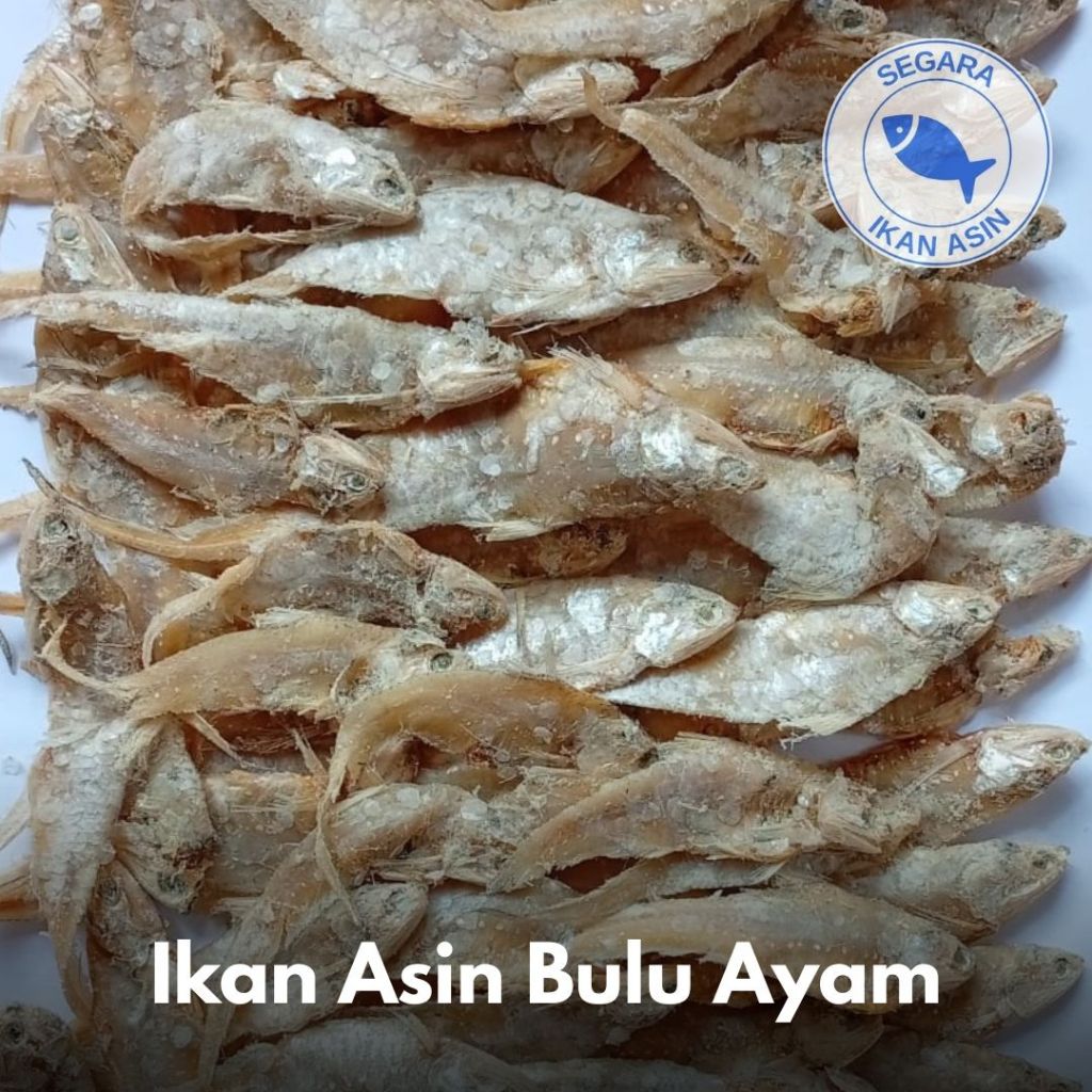

Ikan Asin Bulu Ayam | 250 gr / 500 gr / 1 kg