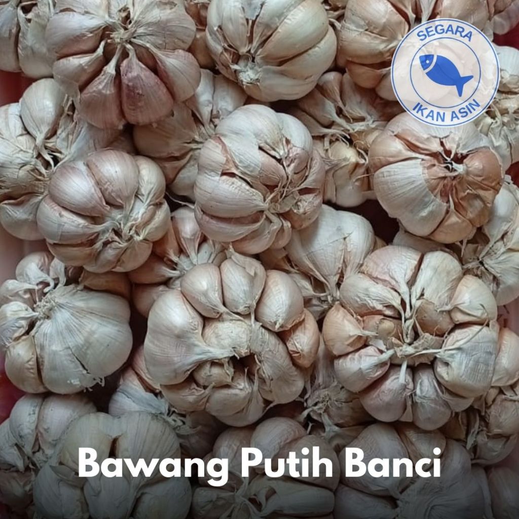 

Bawang Putih Banci | 250 gr / 500 gr / 1 kg