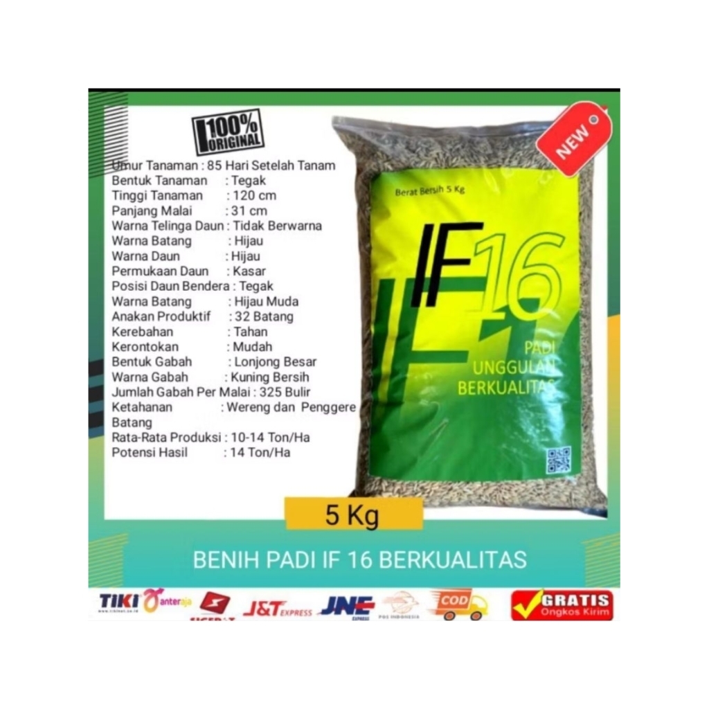 BENIH PADI SUPER UNGGUL BERKUALITAS IF 16 KEMASAN 5KG
