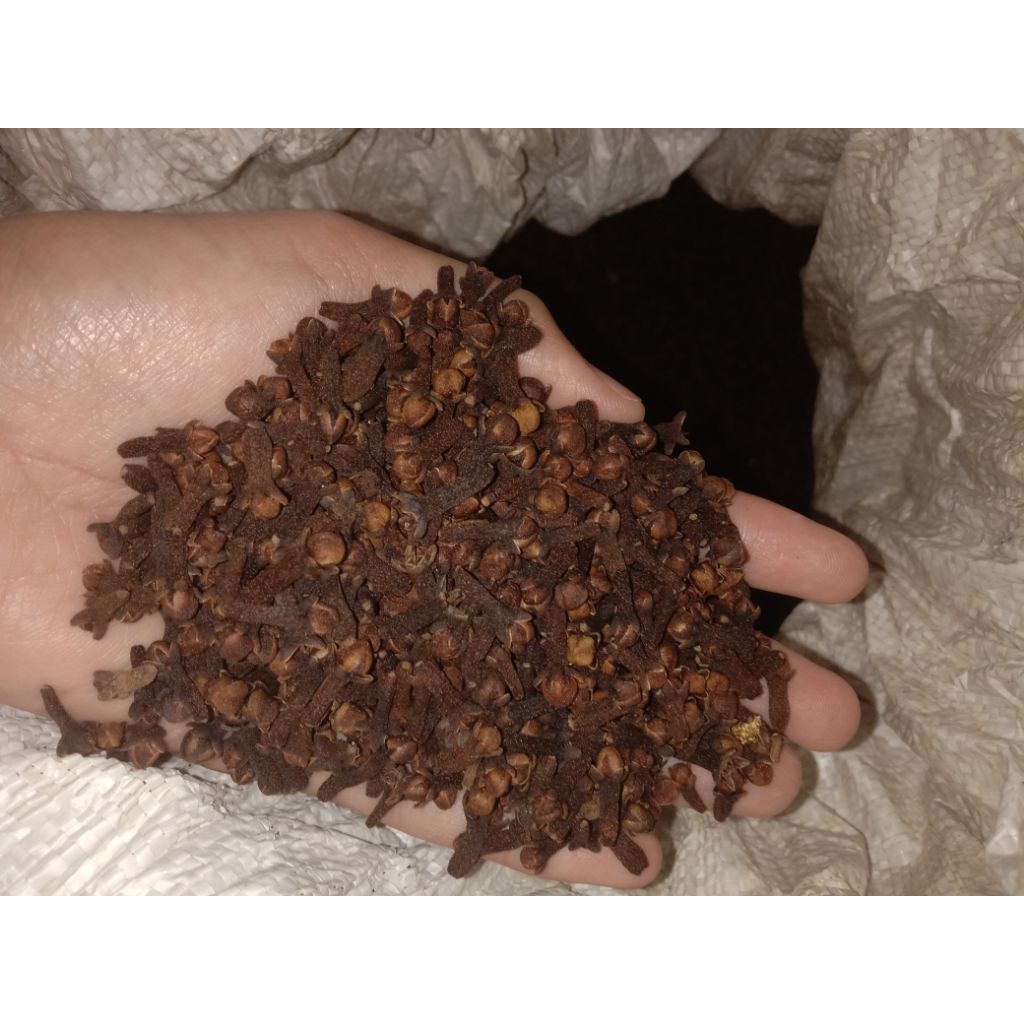 

cengkeh kering 100gr