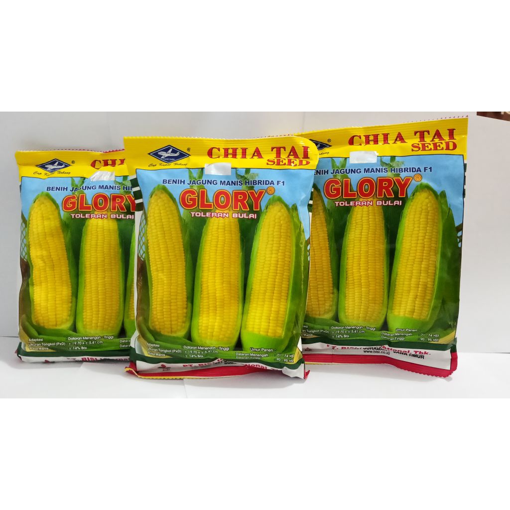 

JAGUNG MANIS GLORY Kemasan 20 Gr - Benih Jagung Manis Cap Kapal Terbang