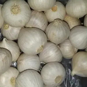

Bawang Putih Tinggal 250 gr