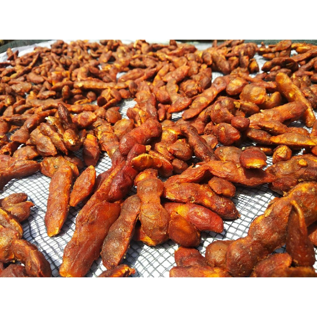 

Asam Jawa Tanpa Biji Murah Kering Berkualitas Bagus