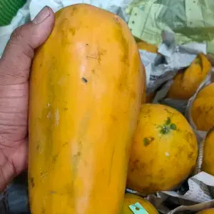 

pepaya california 1kg