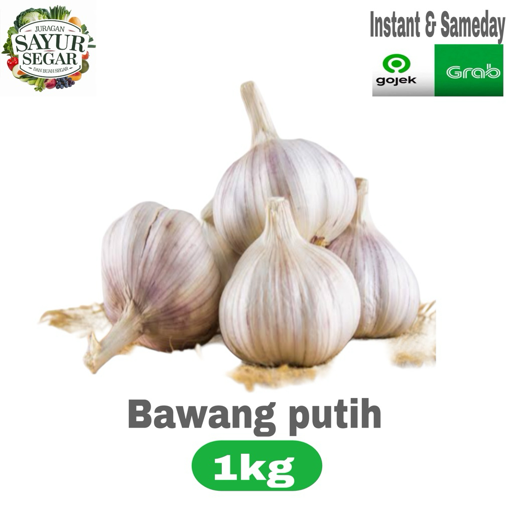 

Bawang putih biasa/bawang putih banci 1kg INSTANT