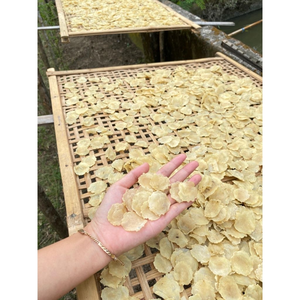 

TERLARIS!!! 100% EMPING MELINJO ASLI MENTAH ukuran koin/1 biji melinjo.. (EMPING DOLAR)