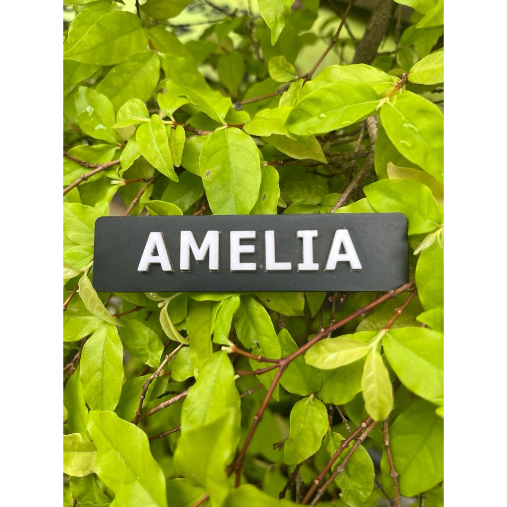 

Nama Dada Timbul Hitam Doff