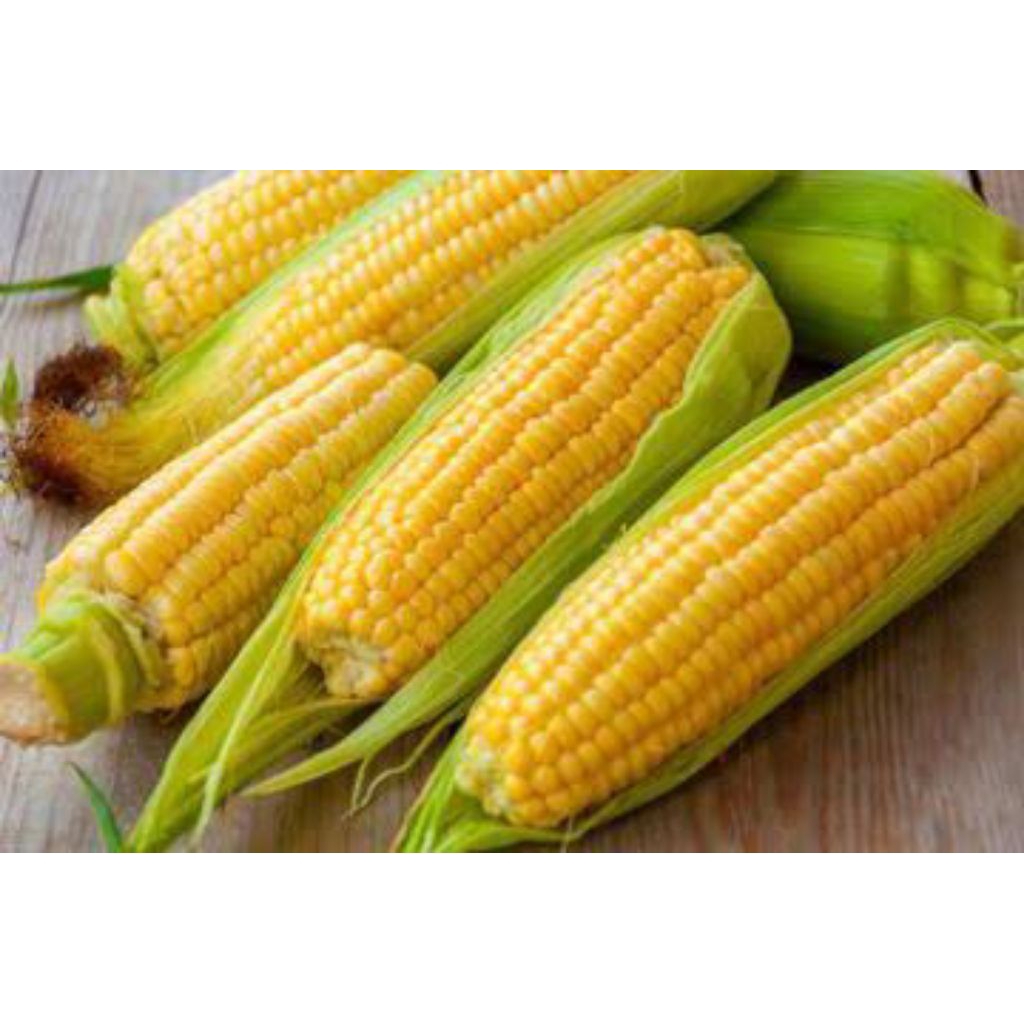 

Jagung Manis 1 kg Fresh (Sayuran Segar)