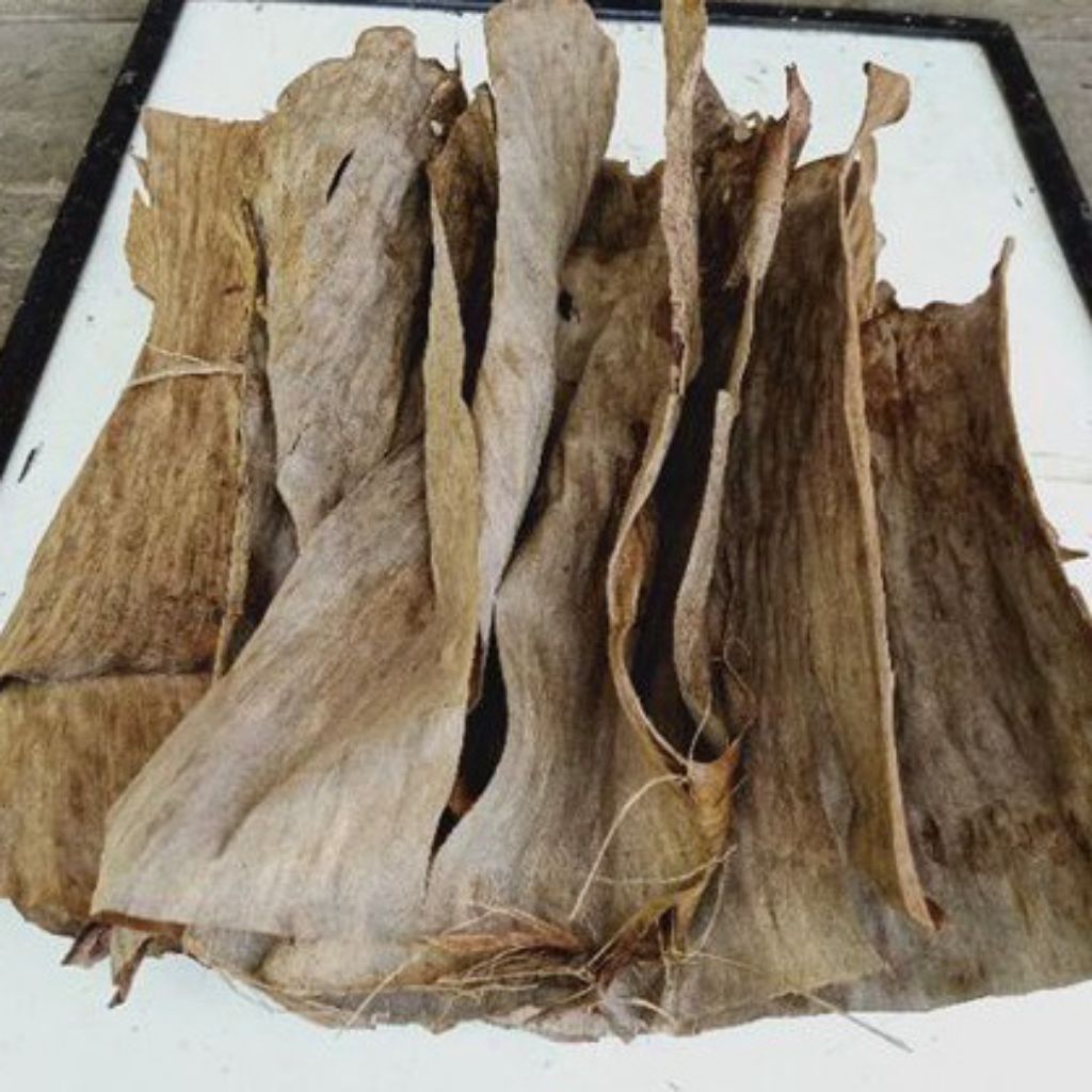 

daun pisang kering - daun kalaras kering 500 gram