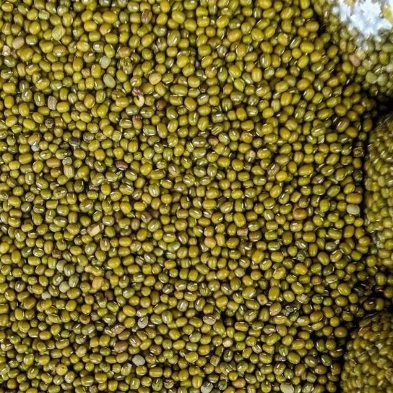

Kacang Hijau 500gr