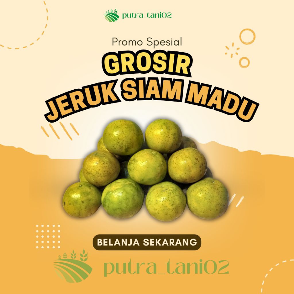 

GROSIR! Jeruk Siam Madu | FREE Packing Kayu