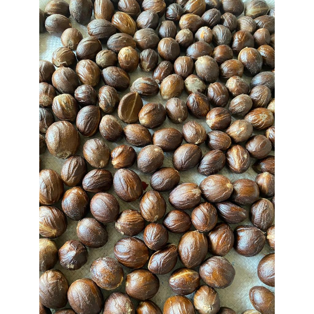 

Biji Pala Premium Utuh Kering Asli / Nutmeg / 1kg / Rempah