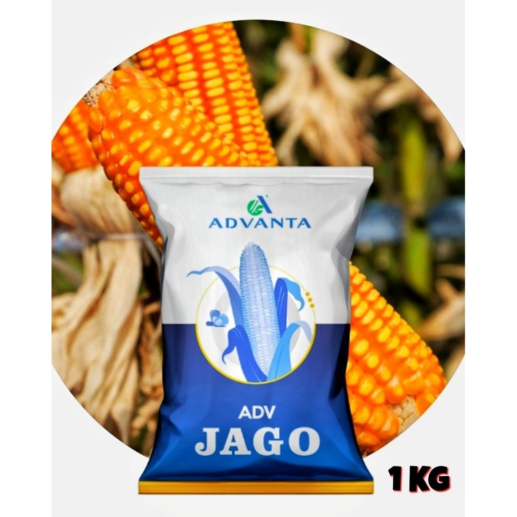 JAGO Benih Jagung ADV ADVANTA 1 Kg