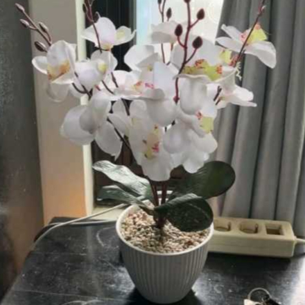 bunga hias meja ruang tamu/BG Bunga Hias plastik Pot Pajangan Meja Bunga Artificial Anggrek Plastik