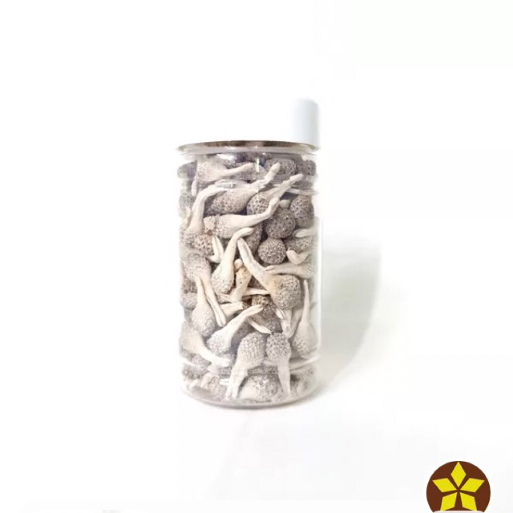 Empot Mpot Ayam Putih Utuh Original