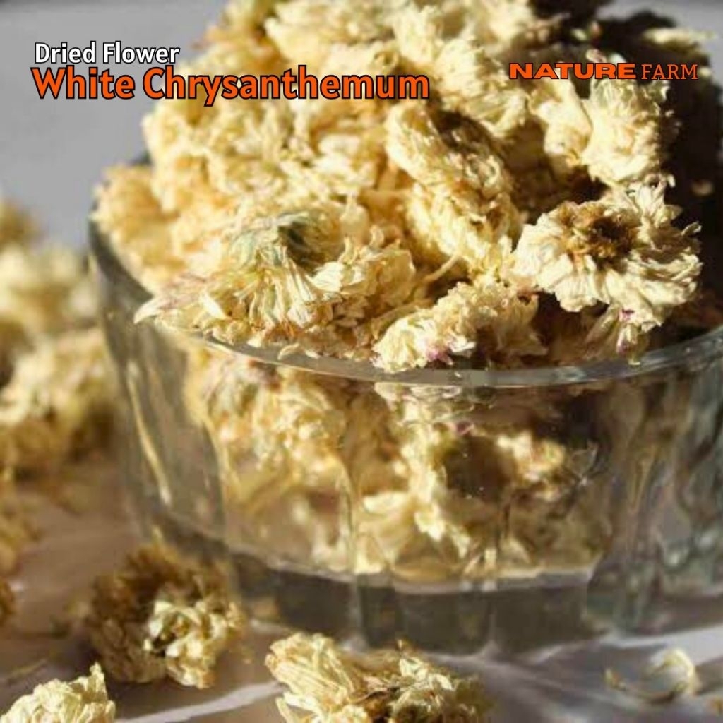 

Nature Farm Premium White Chrysantemum Tea /Teh Bunga Krisan Putih