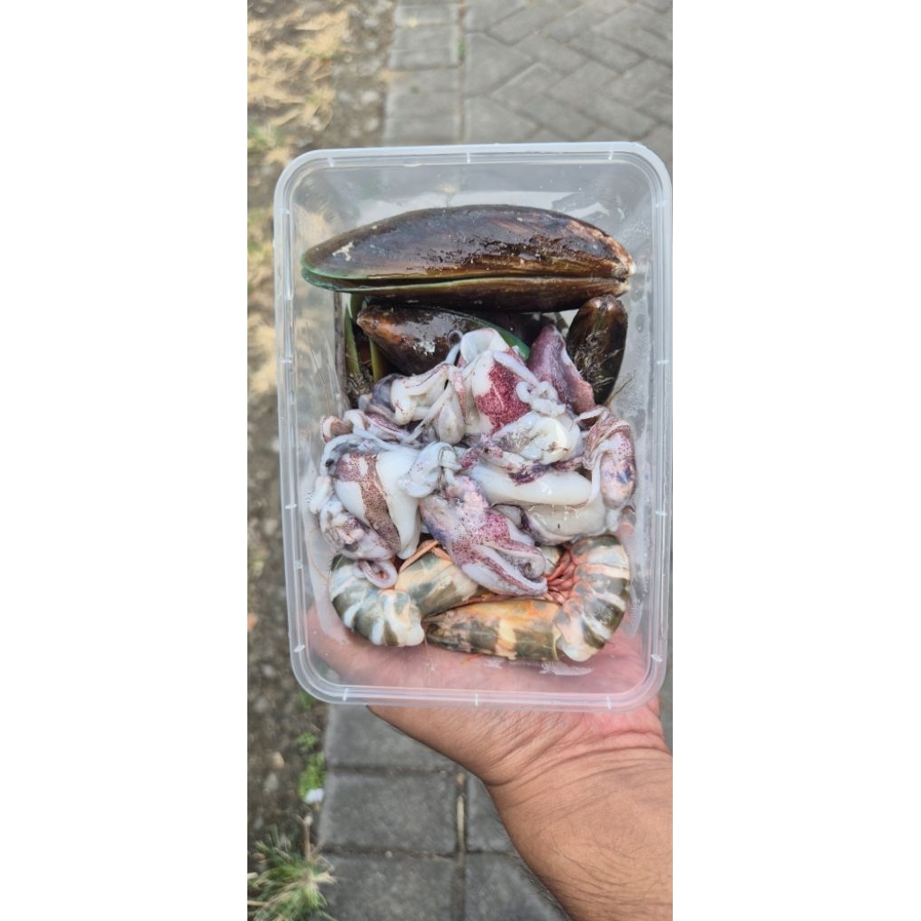 

Mix Seafood 500gr (Cumi, udang, kerang hijau)