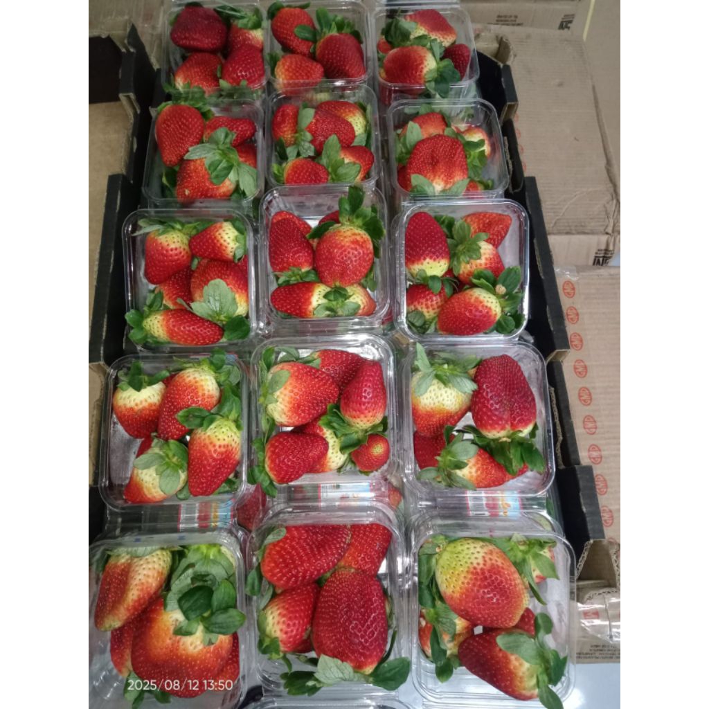 

strawberry australia