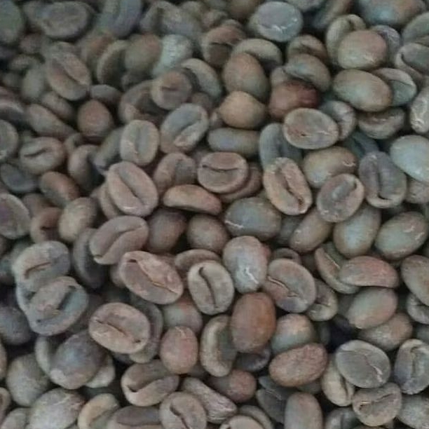 

Kopi Arabika Honey Bubuk/Biji