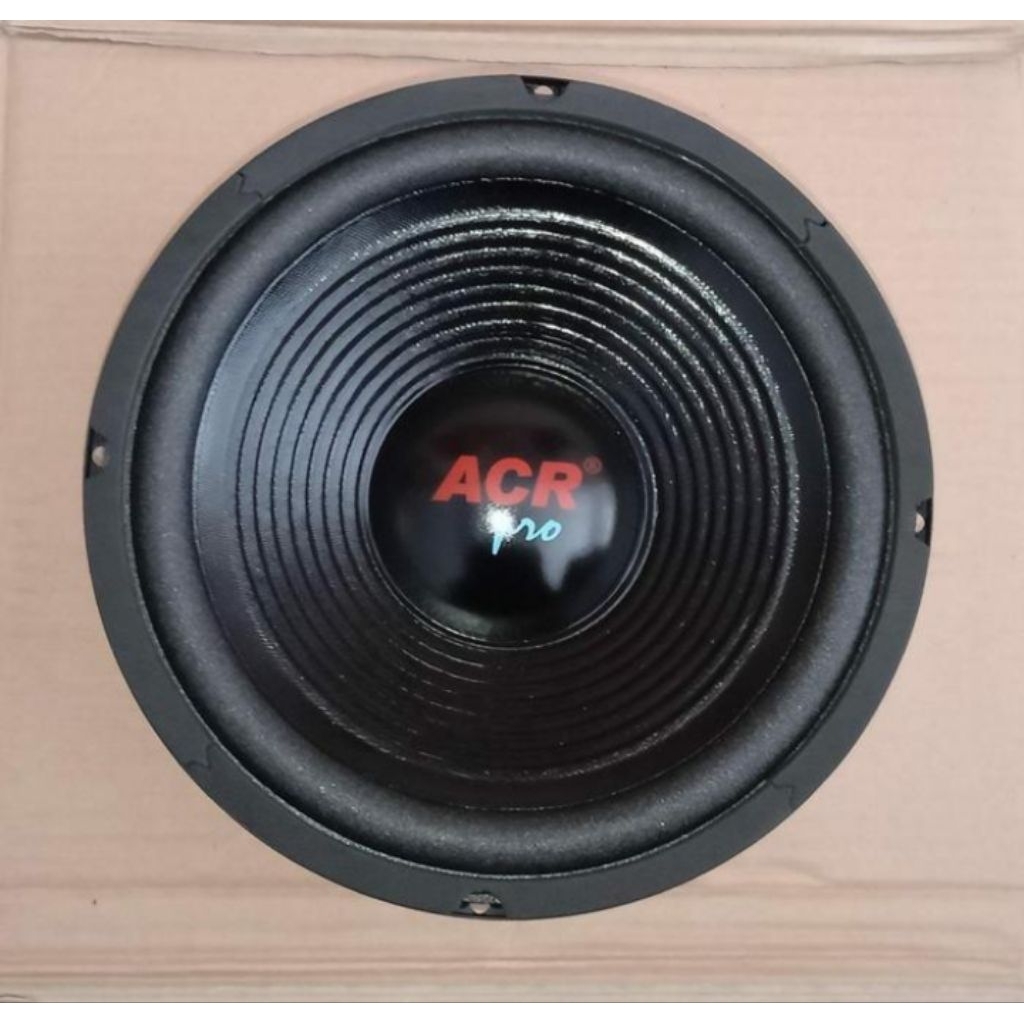 ACR 10 INCH WOFER