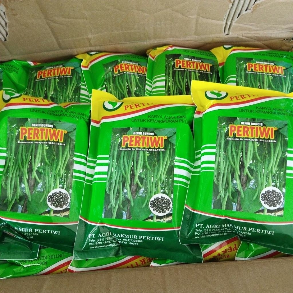 benih buncis Pertiwi (exp 2026 ) / buncis Pertiwi / buncis hijau / benih Pertiwi / pertiwi