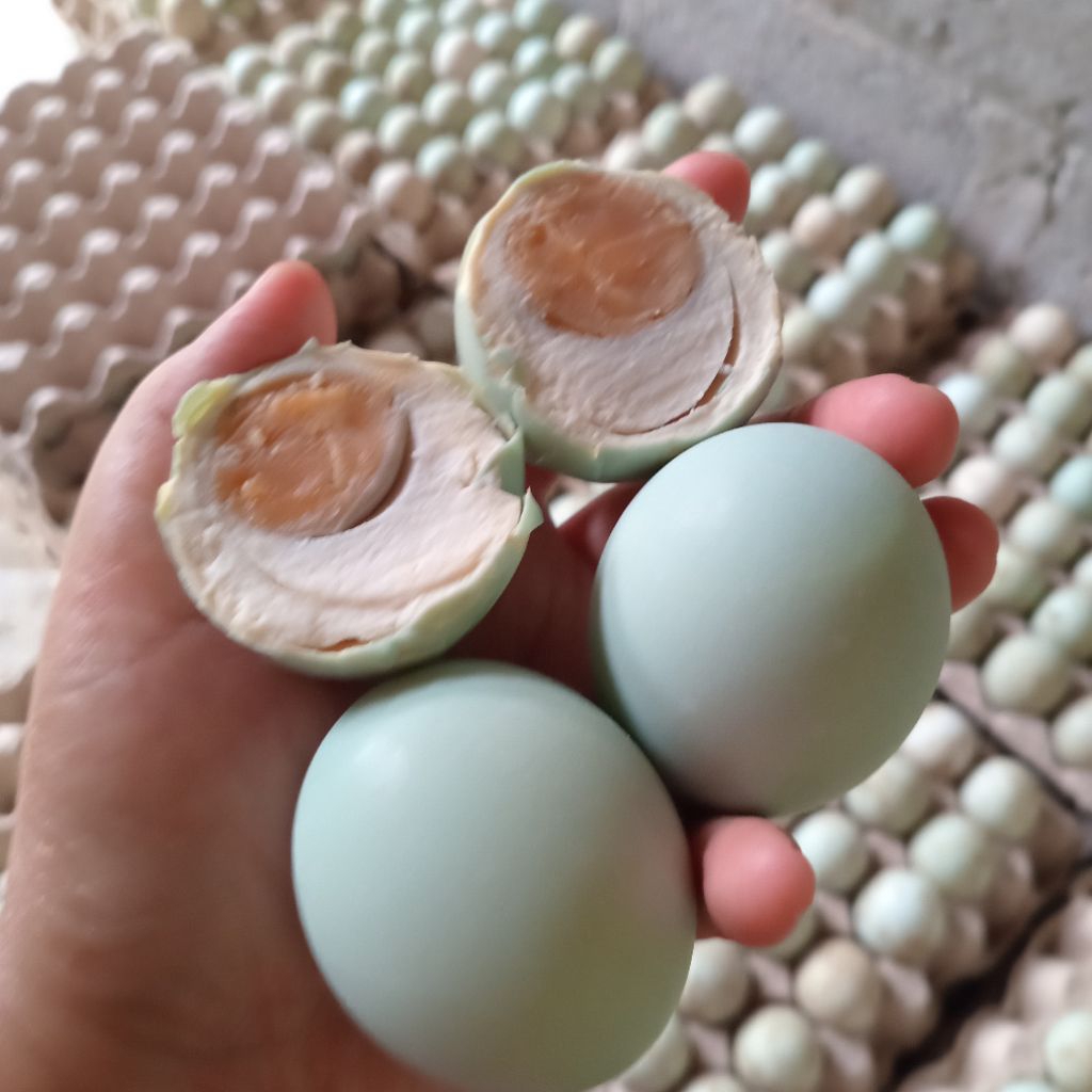 

Telur Asin Matang Enak Masir Berminyak Bergizi Ukuran Besar AB isi 15 butir