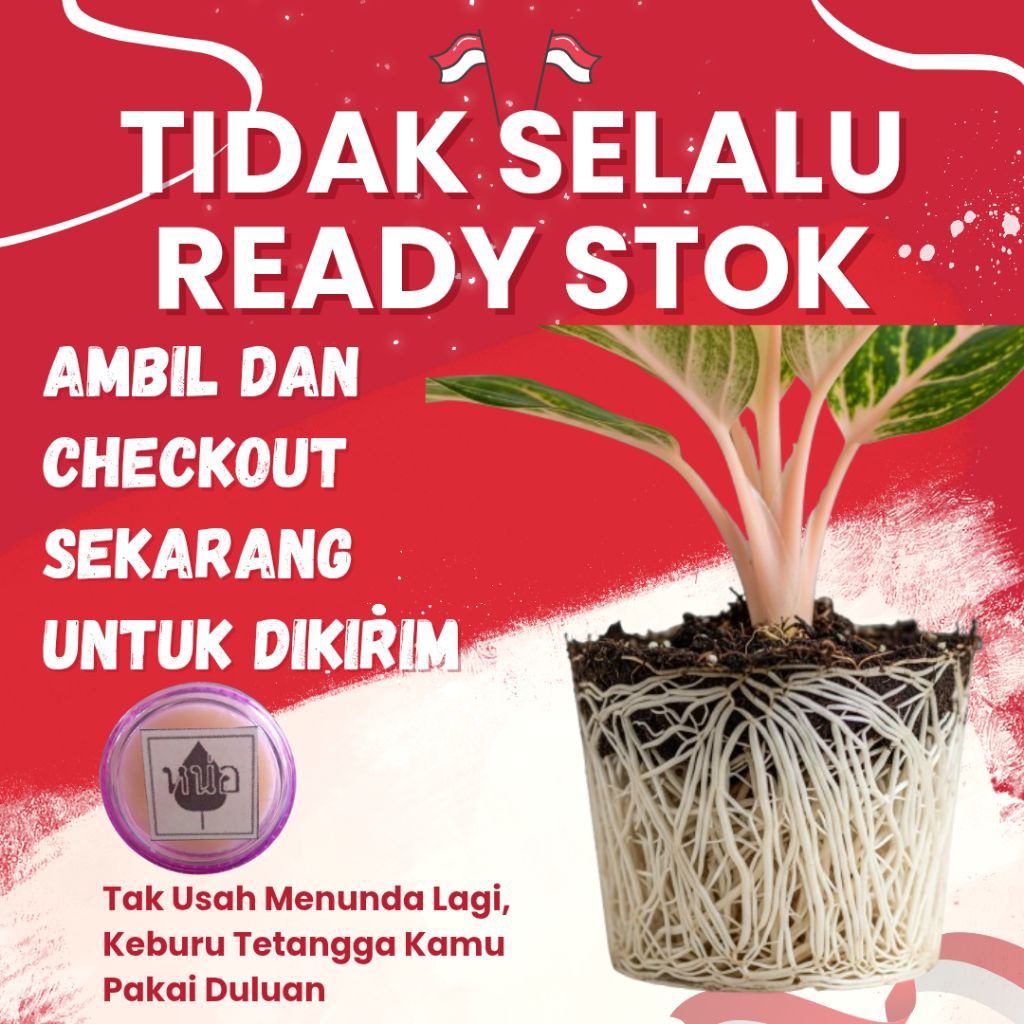 SPROUTPASTA™ – Perangsang Tunas Tanaman