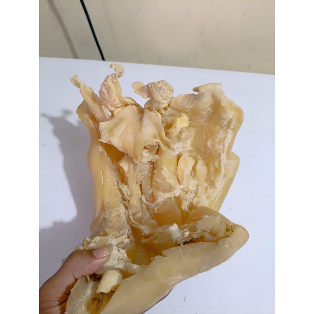 

Tunjang kaki sapi tanpa tulang MATANG