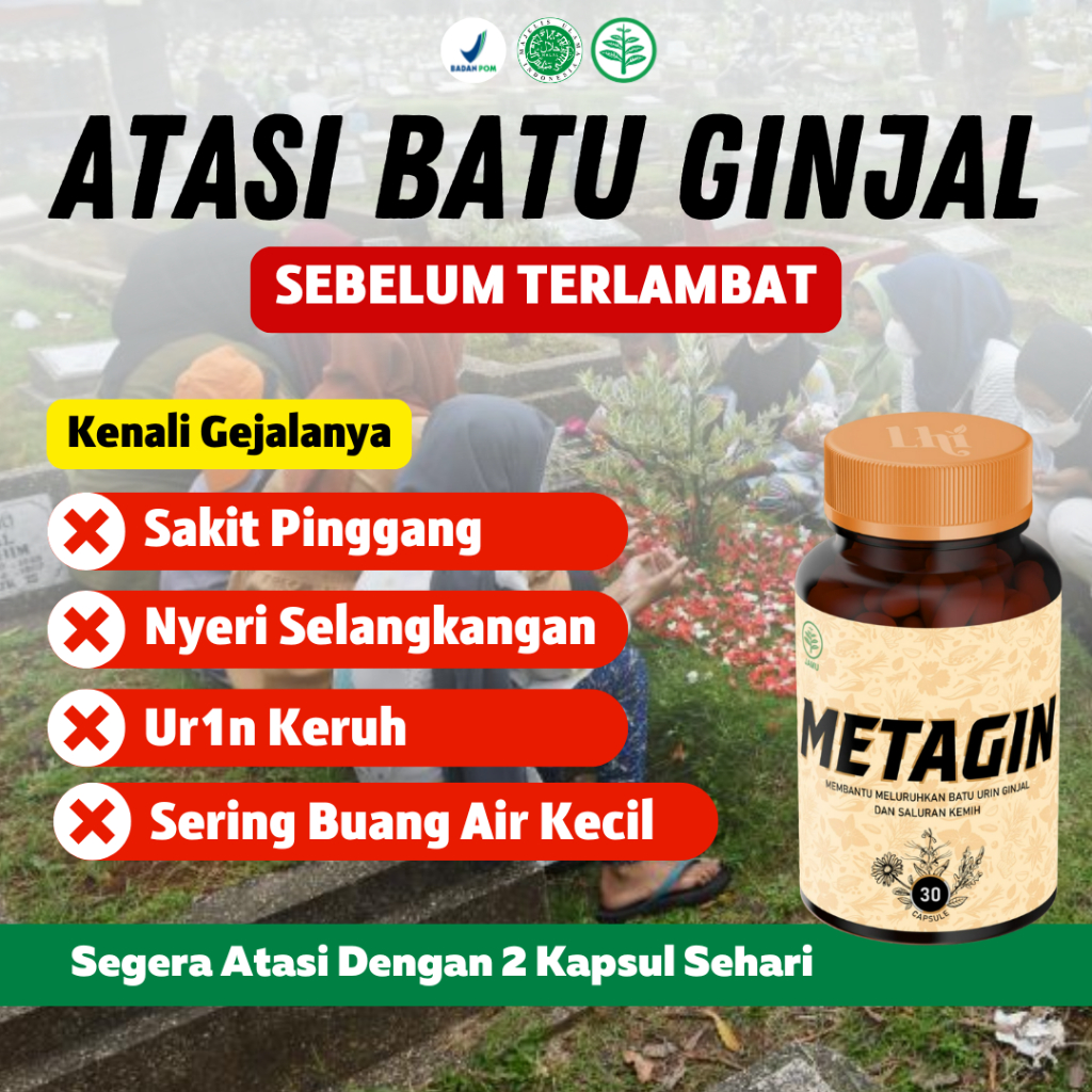 Metagin 100% original asli obat batu ginjal penghancur batu ginjal terbaik BPOM