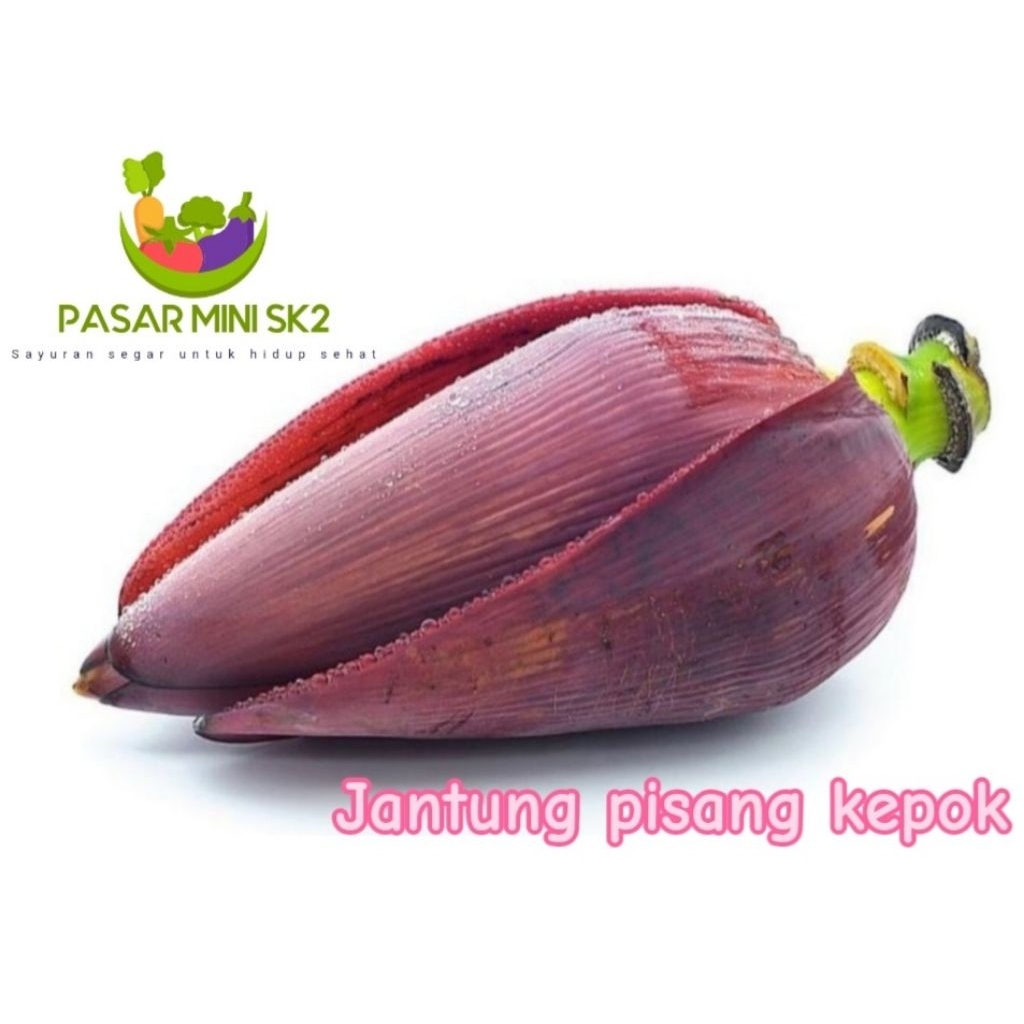 

Jantung pisang kepok 1pcs