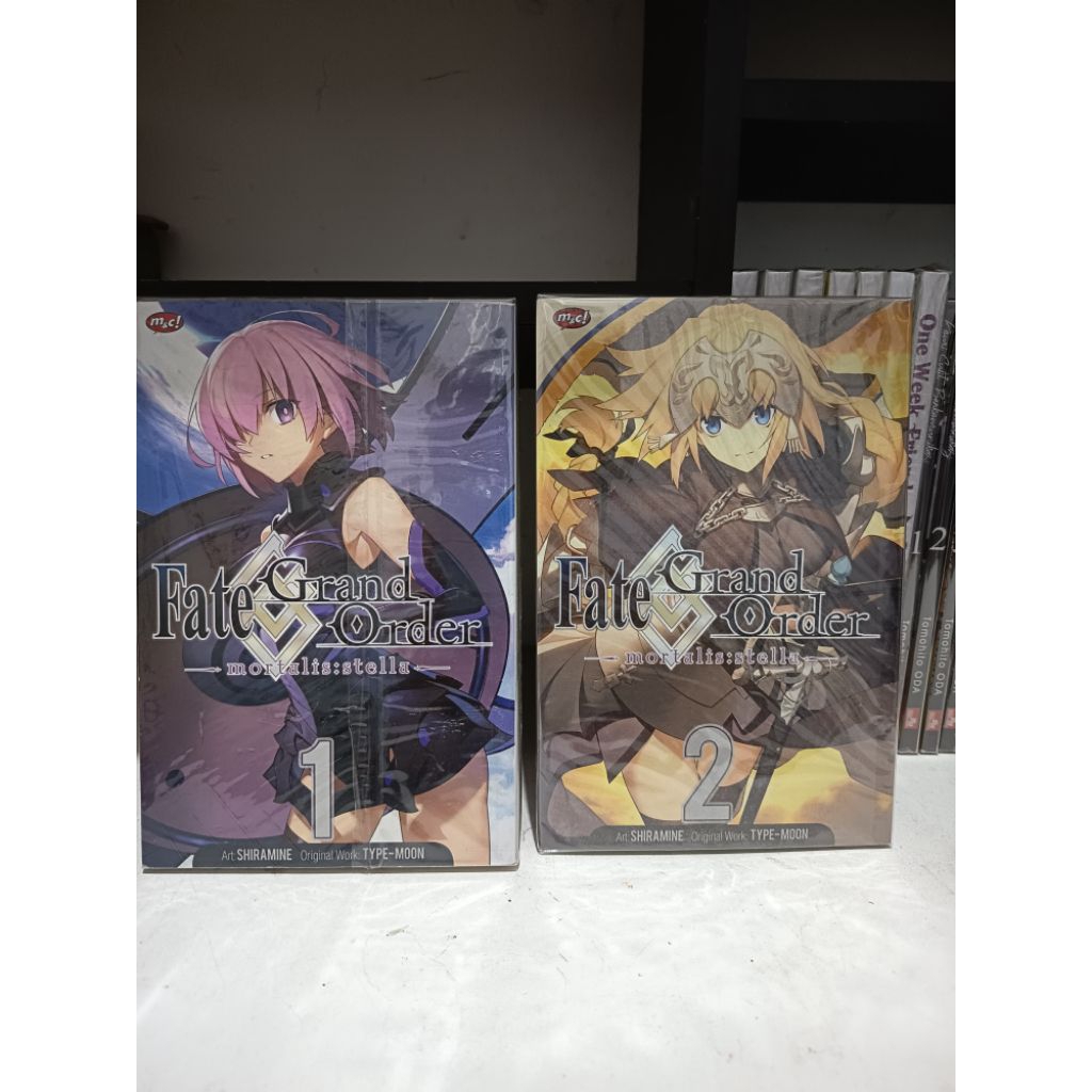 Fate grand order mortalitas:stella