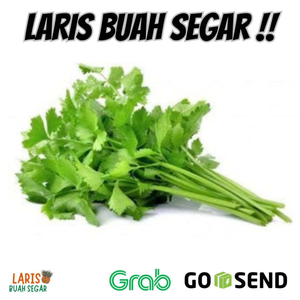 

SELEDRI SEGAR DAUN SELEDRI FRESH 50 GR