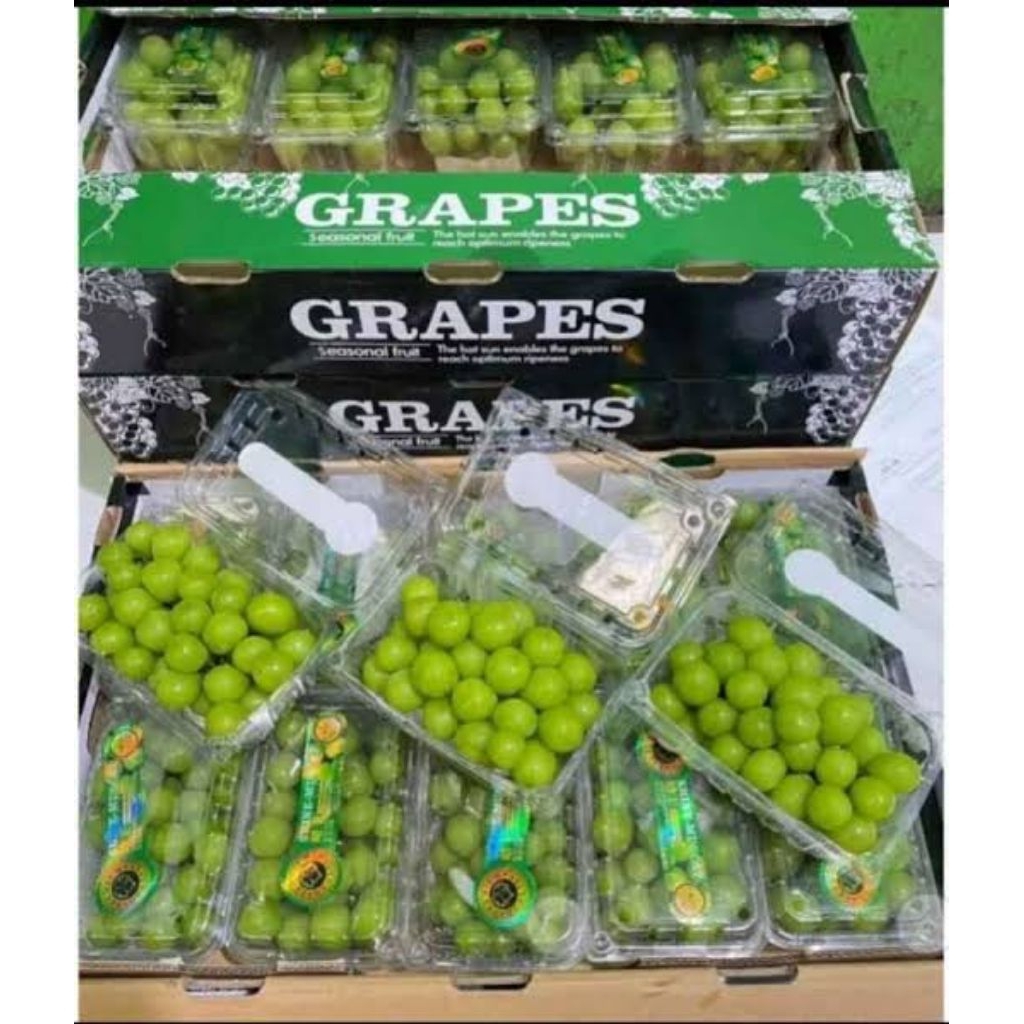 

BUAH ANGGUR MUSCAT PER DUS GROSIR