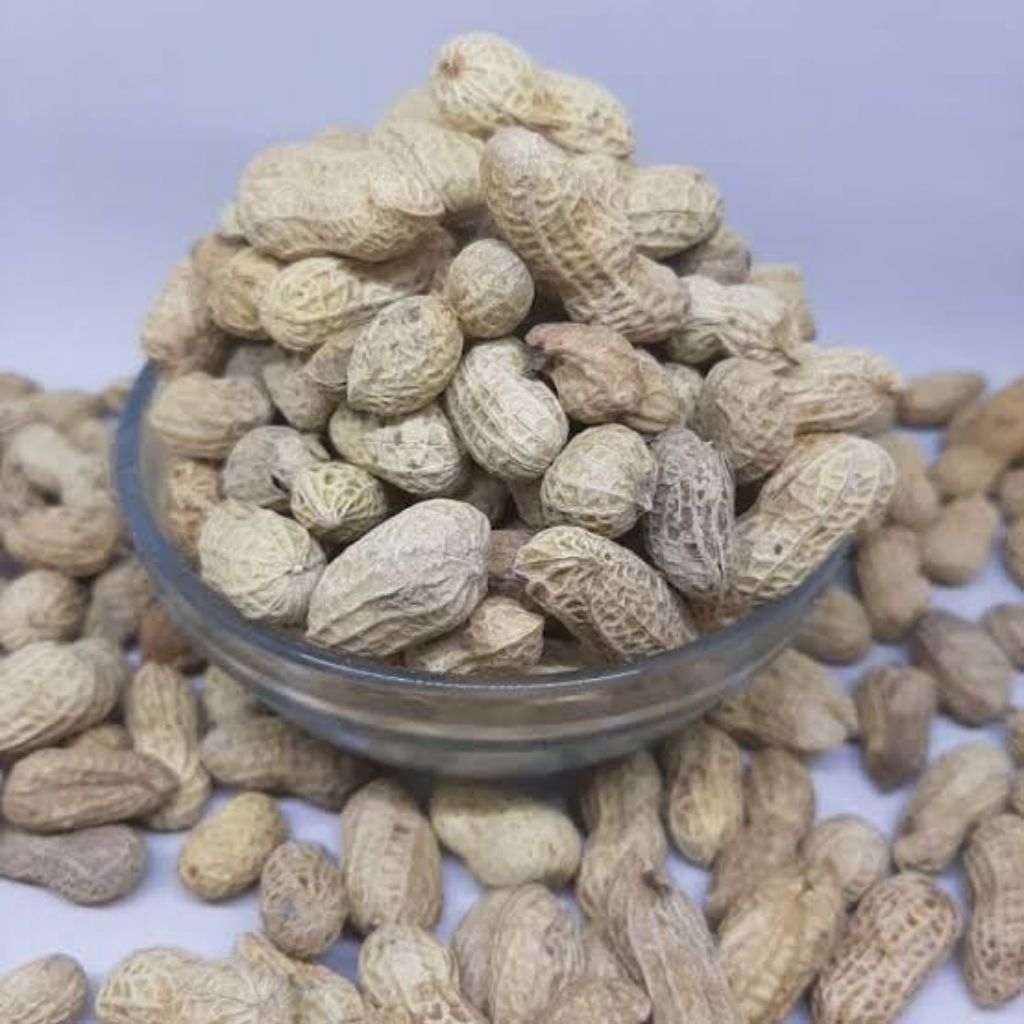 

1Kg Kacang Kulit Sangrai Pilihan gread A super Gurih, Kacang Sangrai Jepara ((( Oven & Sangrai )))