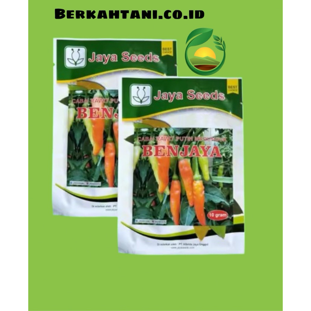 Benih Cabai BENJAYA Bibit Cabe Rawit Merunduk Unggulan Jaya Seed