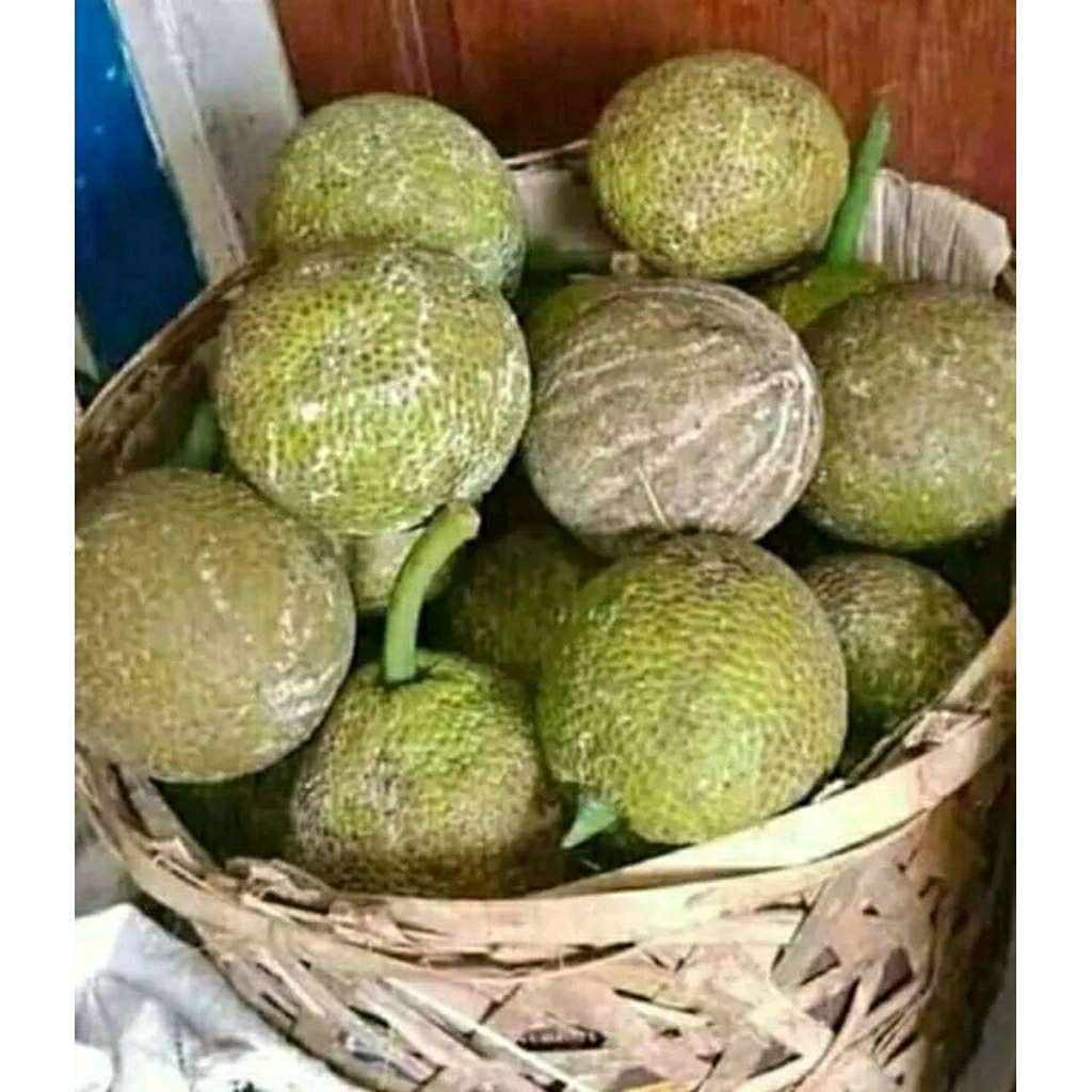 

buah sukun utuh pres murah