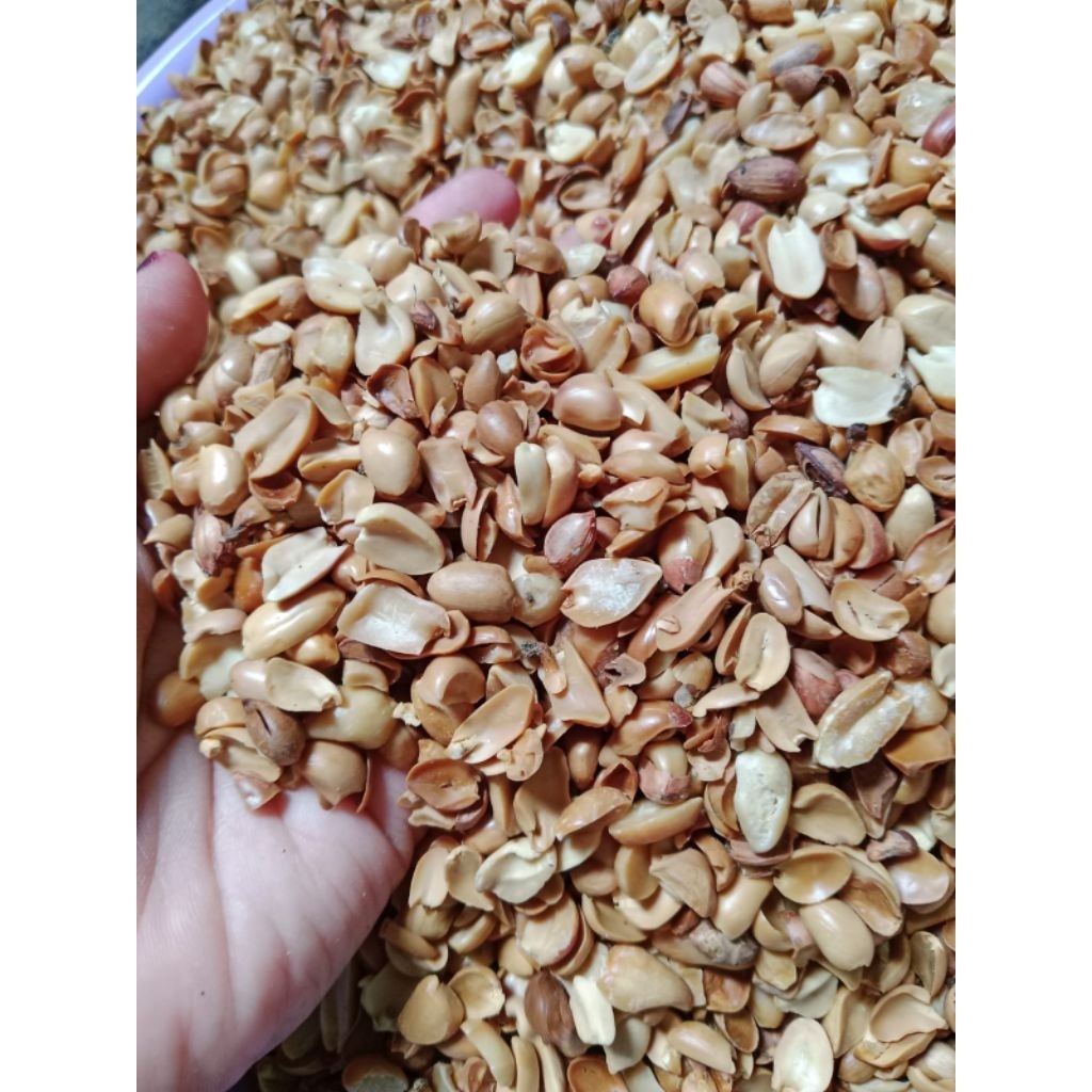 

KACANG PECAHAN SANGRAI 1 KILOGRAM