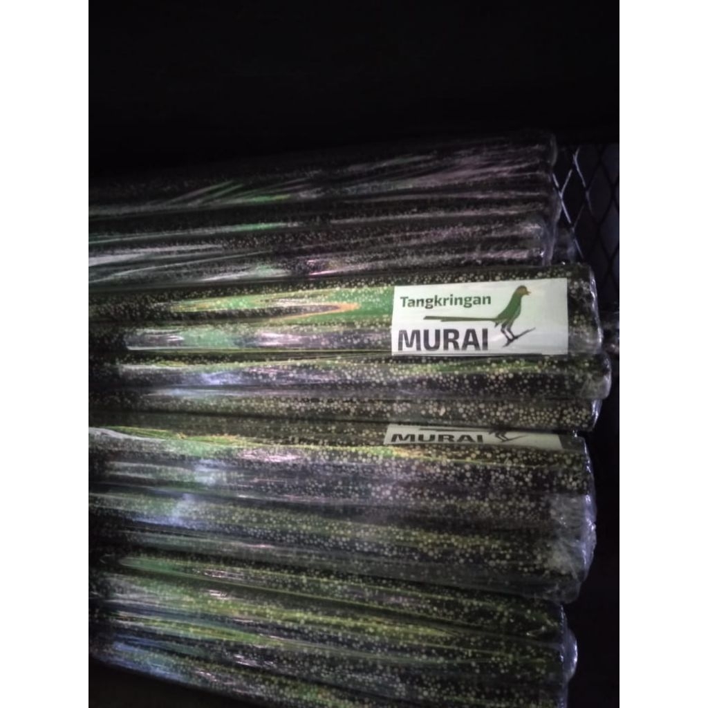 Tangkringan amplas mutiara khusus murai batu