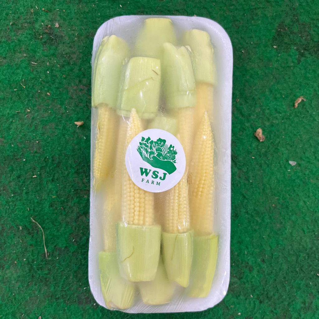 

BABY CORN JAGUNG MUDA 300 GRAM FRESH SEGAR SAYURAN HIDROPONIK